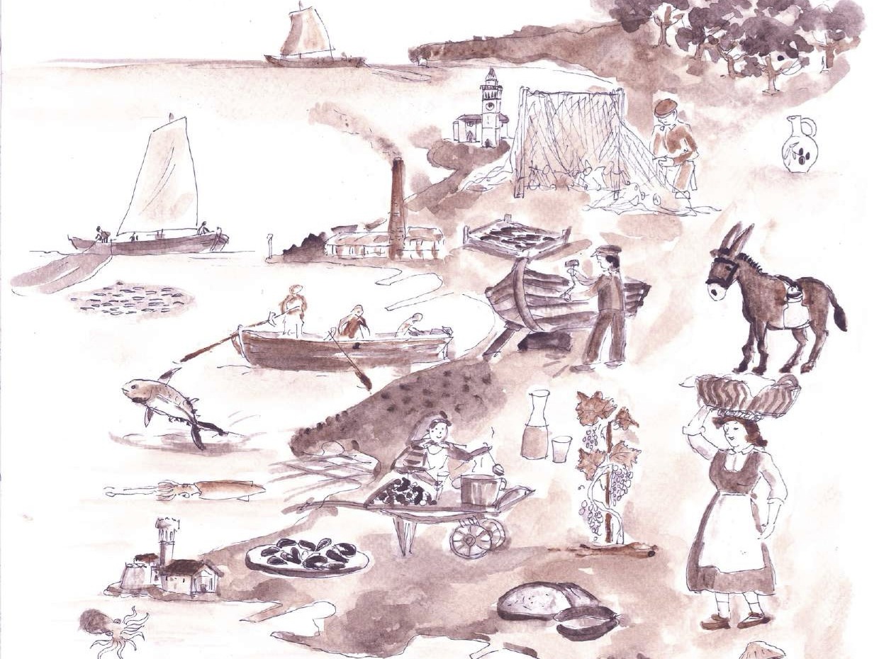 Priročnik za turistične vodiče Po ribiških poteh